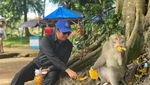 Gaya Santai Saat Ngopi dan Berkebun ala Ustaz Yusuf Mansur