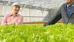 Gaya Santai Saat Ngopi dan Berkebun ala Ustaz Yusuf Mansur