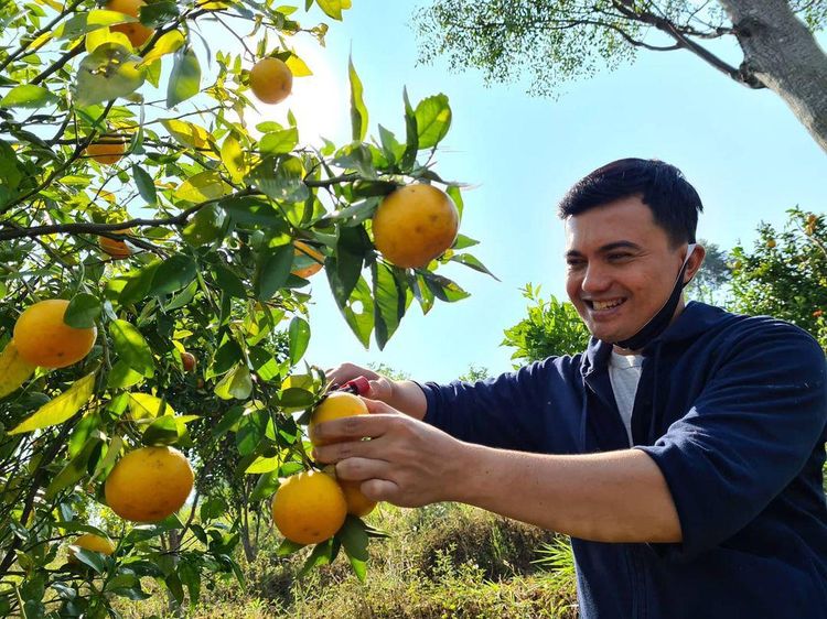 Gaya Santai Sahrul Gunawan Saat Jajan Lotek hingga Panen Jeruk