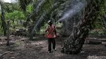 Menjaga Asa Perbatasan di Tanah Melayu Pulau Rupat