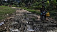 Saat ini hanya 20 persen saja jalan di Rupat yang cukup bagus, sisanya adalah jalan tanah dan lumpur.