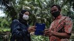 Menjaga Asa Perbatasan di Tanah Melayu Pulau Rupat