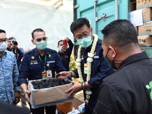 RI Ekspor Hasil Kebun ke 44 Negara, Ada Arang Kelapa ke Irak