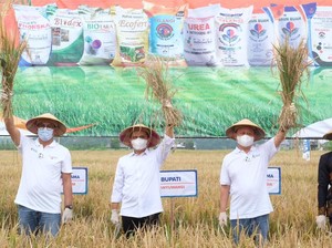 Program Pendampingan Pupuk Kaltim Tingkatkan Produksi Padi