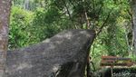 Batu Kuda dan Kisah Mistisnya