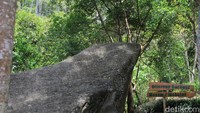 Kini, pengunjung boleh ke Manglayang kapanpun, termasuk hari Senin dan Kamis. Selain itu, diperbolehkan dalam hitungan ganjil. (Siti Fatimah/detikTravel)