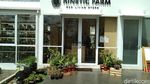 Ada Tempat Ngopi hingga Bakery Hits yang Tawarkan Croissant Enak di Urban Farm
