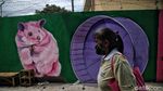 Warna-warni Mural Bikin Kampung Japat Embrat Lebih Hidup