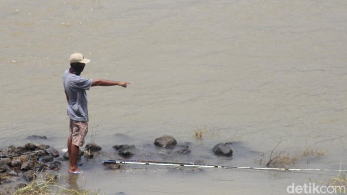 buaya porong