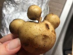 Kumpulan Foto Sayuran yang Bentuknya Ajaib