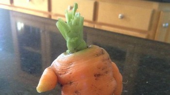 Si wortel yang punya kaki dan tangan. Foto: Brightside