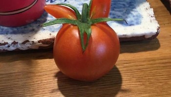 Tomat dari kebunku memiliki bentuk seperti kepala kelinci, Foto: Brightside