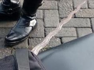 Wanita yang Turunkan Merah Putih di Masjid Agung Klaten Ternyata Bawa Keris