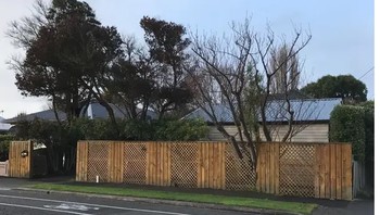 Foto pohon ini seperti glitch yang ada dalam video game. Foto: HembraunAirginator via reddit