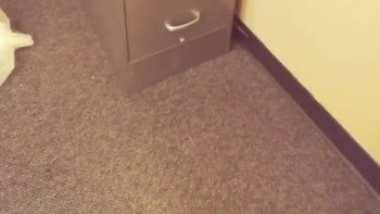 Lemari ini nampak seperti transparan. Efek pantulan dari karpet? Foto: Dr_Dewey via reddit