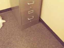 Deretan Foto Ini Bikin Kita Merasa di Dunia Matrix, Jadi Merinding