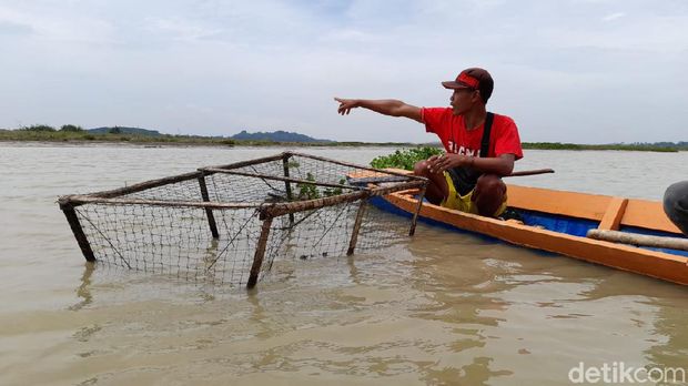 Lokasi nelayan menemukan seekor buaya muara satu meter di waduk PLTA Mrica, Banjarnegara, Jumat (11/12/2020).
