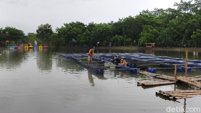 Wali Kota Surabaya Tri Rismaharini meresmikan Taman Hutan Raya (Tahura) Balas Klumprik. Taman ini berada di Kecamatan Wiyung, Surabaya.