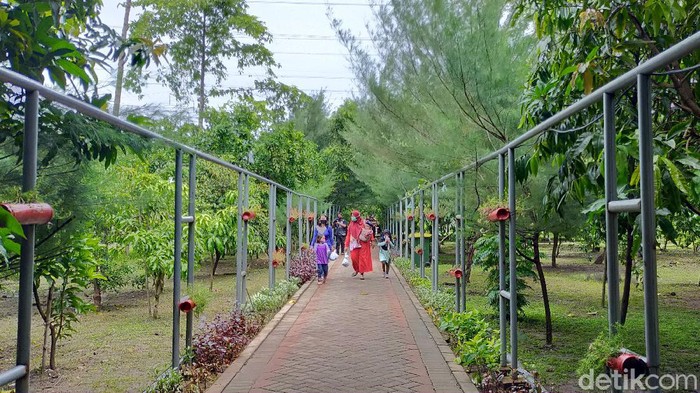 Wali Kota Surabaya Tri Rismaharini meresmikan Taman Hutan Raya (Tahura) Balas Klumprik. Taman ini berada di Kecamatan Wiyung, Surabaya.