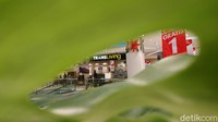 Pembukaan Transmart ini untuk memenuhi kebutuhan belanja harian masyarakat Banten, khususnya yang berada di sekitar Kota Cilegon.