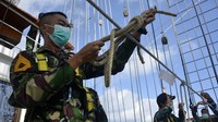 Setelahnya para Taruna-Taruni AAL tingkat III berlomba membuat simpul tali temali.  
