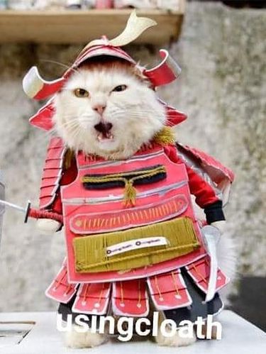 Koleksi baju kucing milik Fredi Lugina