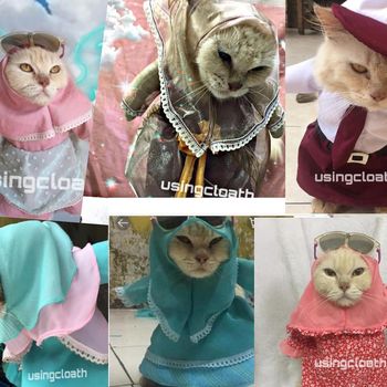 Koleksi baju kucing milik Fredi Lugina