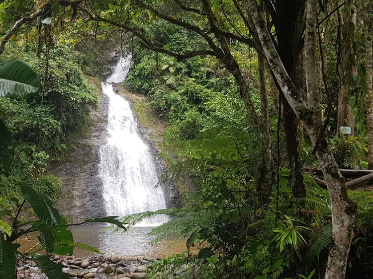 Air Terjun Sarambu Liawan di Mamasa, Alami Banget!