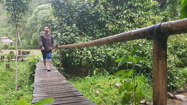 Melihat Air Terjun Sarambu Liawan yang selalu Menawan di Mamasa