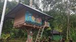 Air Terjun Sarambu Liawan di Mamasa, Alami Banget!