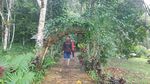 Air Terjun Sarambu Liawan di Mamasa, Alami Banget!