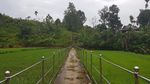 Air Terjun Sarambu Liawan di Mamasa, Alami Banget!