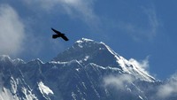 Gunung Everest tercatat bertambah tinggi menjadi 8.848,86 meter. AP Photo/Niranjan Shrestha.