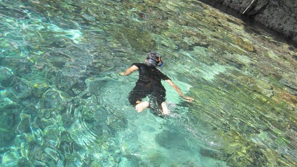 Pulau Friwen, Surganya Panorama Bawah Laut Raja Ampat