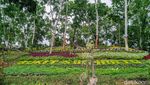Bukit Soeharto yang Ngehits di Ponorogo