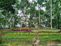 10 Lokasi Liburan Keluarga Ramah Anak di Ponorogo