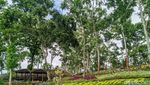 Bukit Soeharto yang Ngehits di Ponorogo