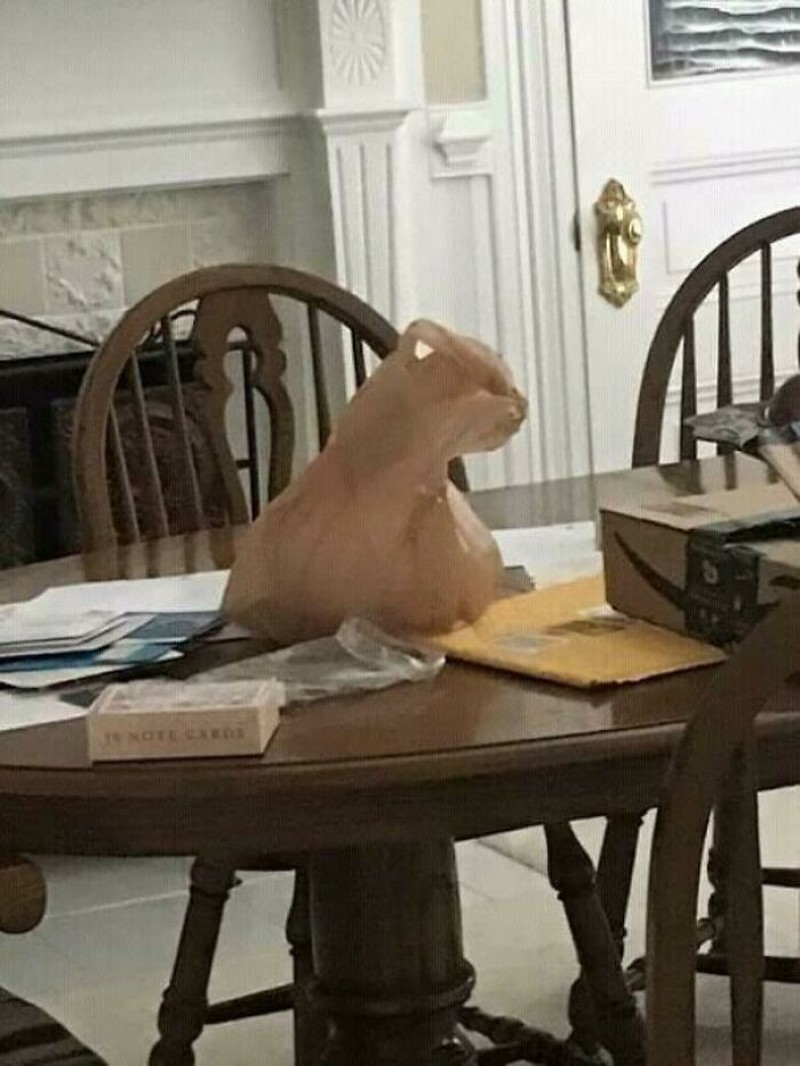 Gambar yang bikin terkecoh