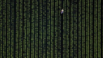 Deretan angka Matrix. Foto: Bored Panda