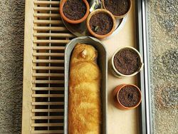 Bikin Mata Terkecoh, Foto Ini Musti Dilihat Dua Kali