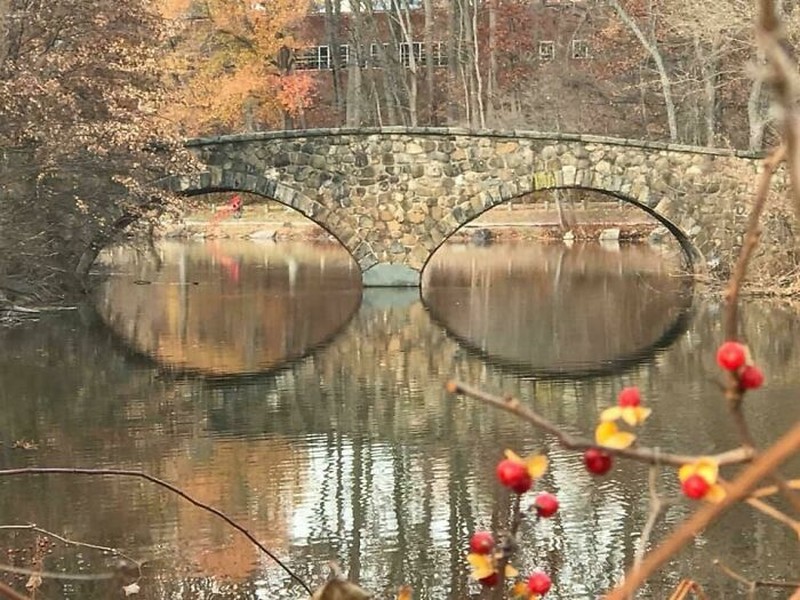 Gambar yang bikin terkecoh