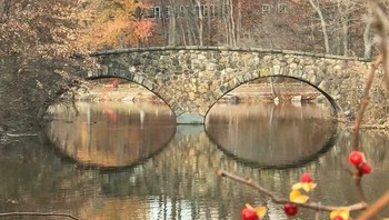 Kacamatanya buram perlu dilap agar pemandangannya terlihat jelas. Foto: Bored Panda