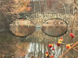 Bikin Mata Terkecoh, Foto Ini Musti Dilihat Dua Kali