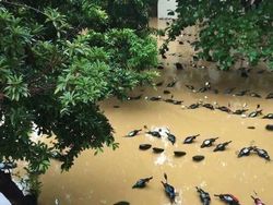 Bikin Mata Terkecoh, Foto Ini Musti Dilihat Dua Kali