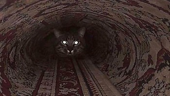 Kereta di terowongan. Foto: Bored Panda