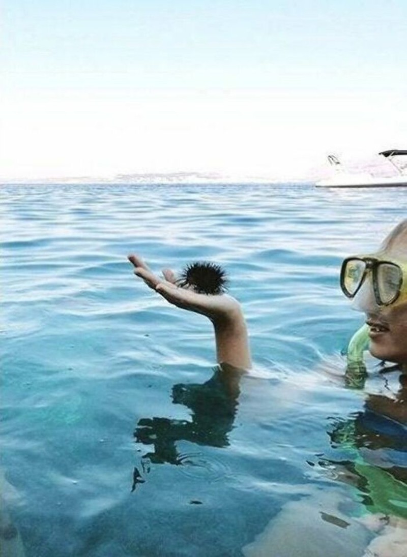 Gambar yang bikin terkecoh