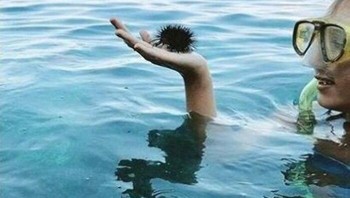 Seorang pria berambut lebat bersiap menyelam. Foto: Bored Panda