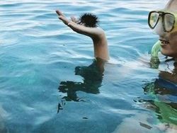 Bikin Mata Terkecoh, Foto Ini Musti Dilihat Dua Kali