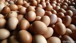 Jelang Natal dan Tahun Baru, Harga Telur Ayam Merangkak Naik
