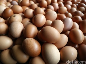 Duh! Harga Telur Ayam Diproyeksi Terus Naik Sampai Tahun Depan